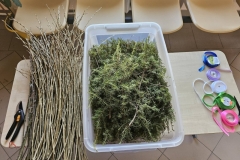 658973303_1607749073814629_9103728163179470490_n