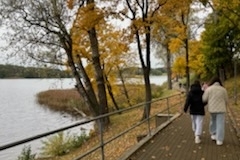 IMG_0401