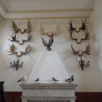 sam_0172
